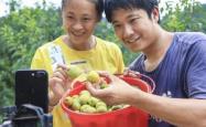 直播带货培训助力脱贫攻坚，农民网红年销售额破亿元